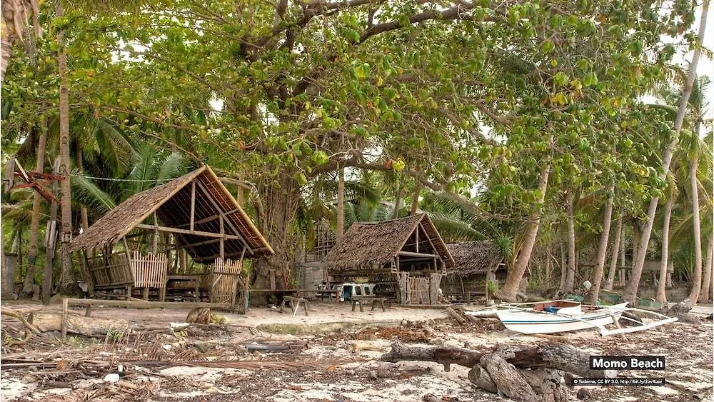 Coco Grove Tourist Inn Panglao