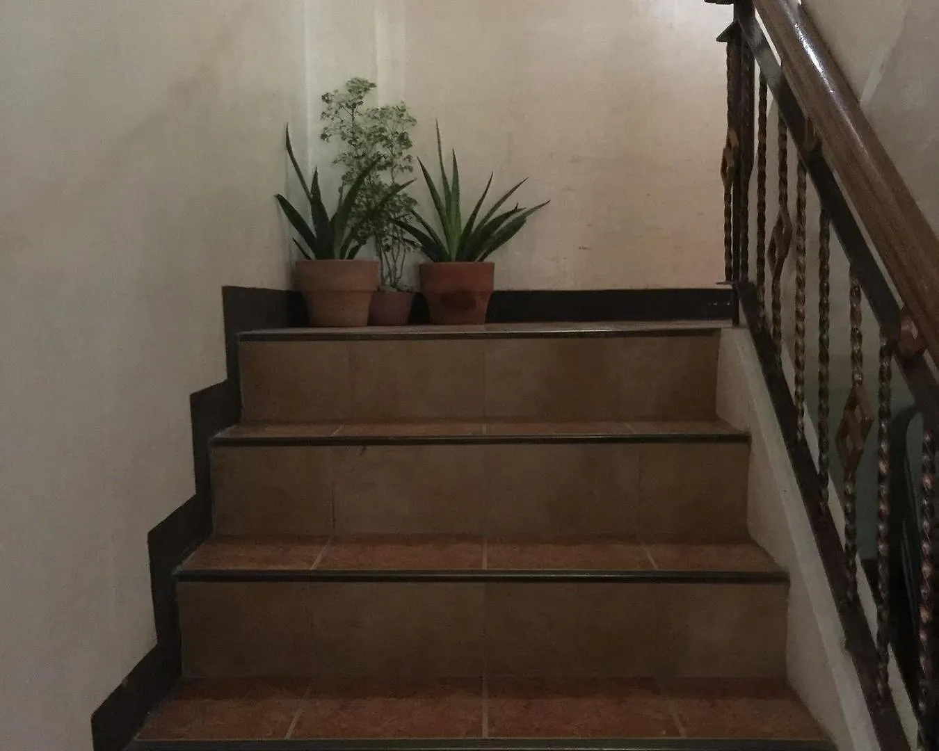 **  Coco Grove Tourist Inn Panglao Philippines